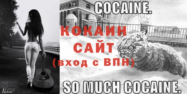 СК Белокуриха