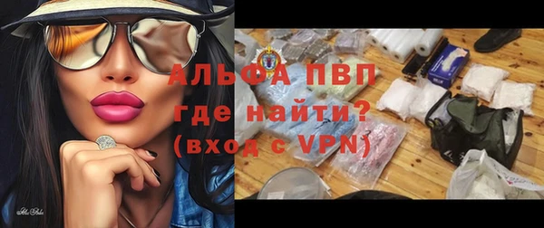 СК Белокуриха