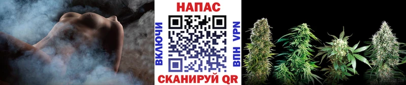 Бошки марихуана MAZAR  кракен сайт  Шагонар 